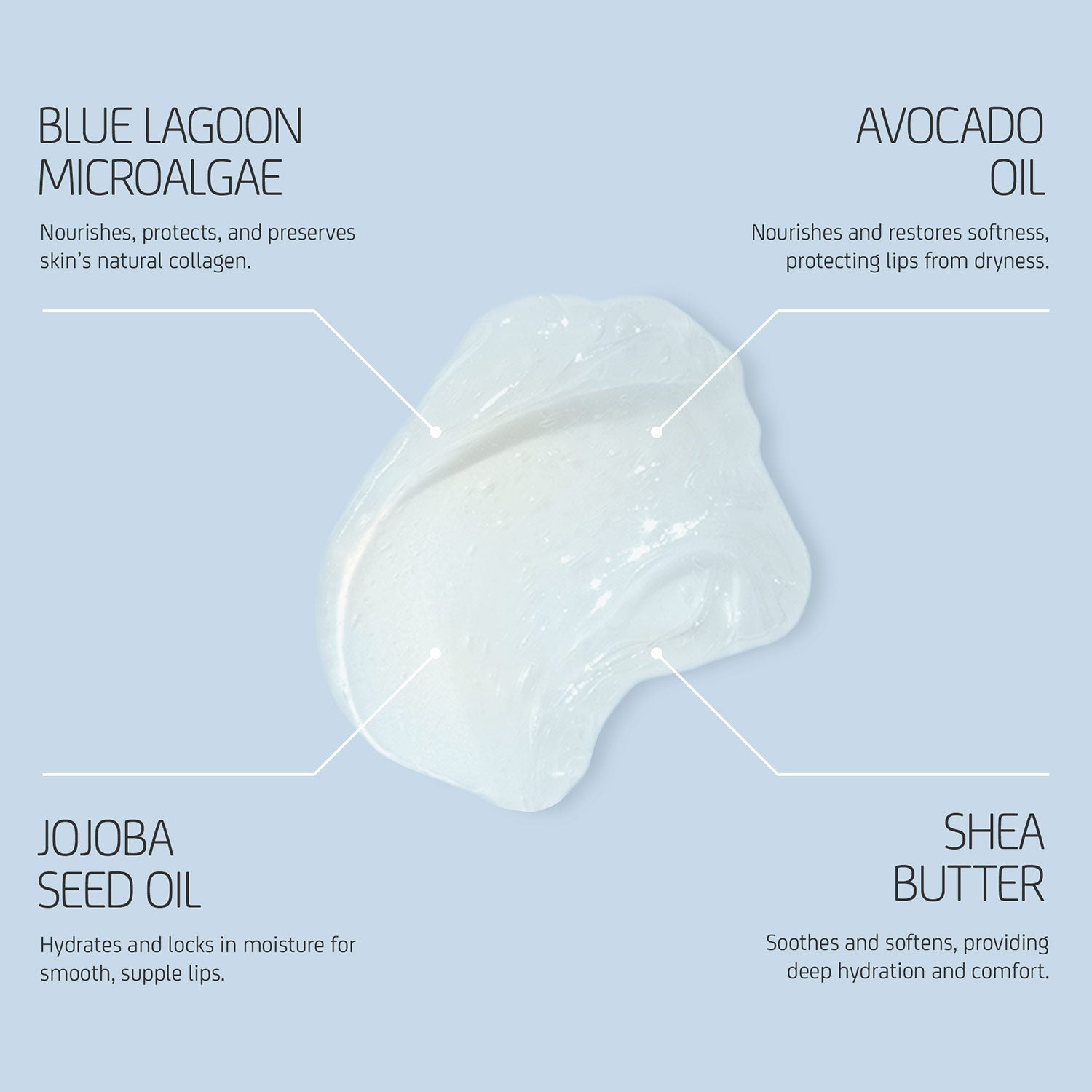Texture of Lip Balm showing translucent, glossy balm with ingredient callouts